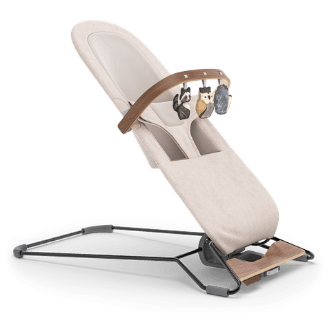 UPPAbaby Mira Bouncer 2-in-1 Bouncer and Seat - Charlie