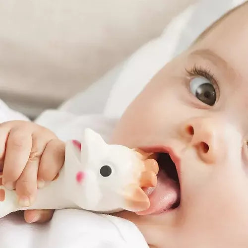 Baby holding a Sofphie girafe toy with black and pink accents