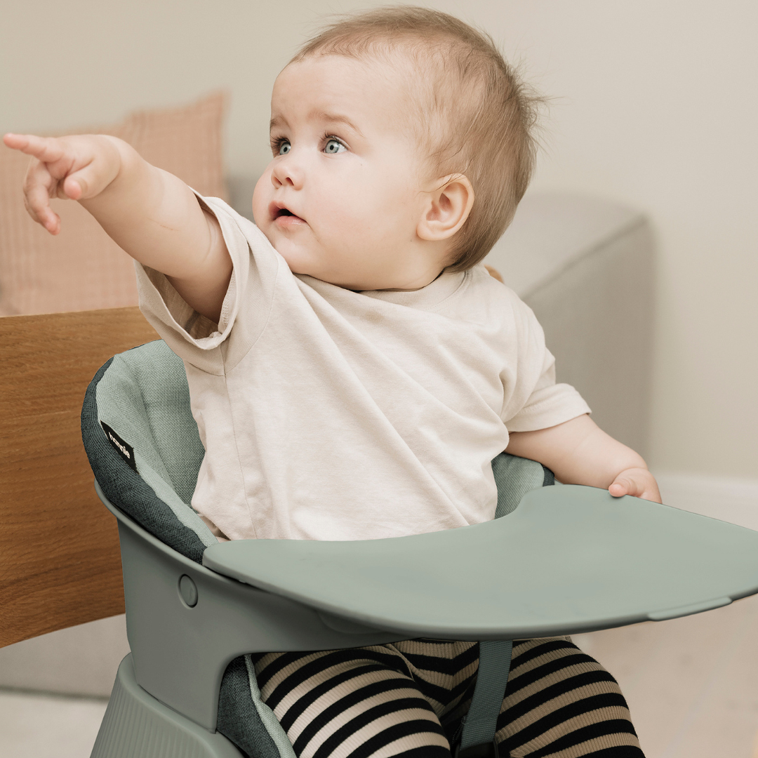 Hannie Portable Highchairs