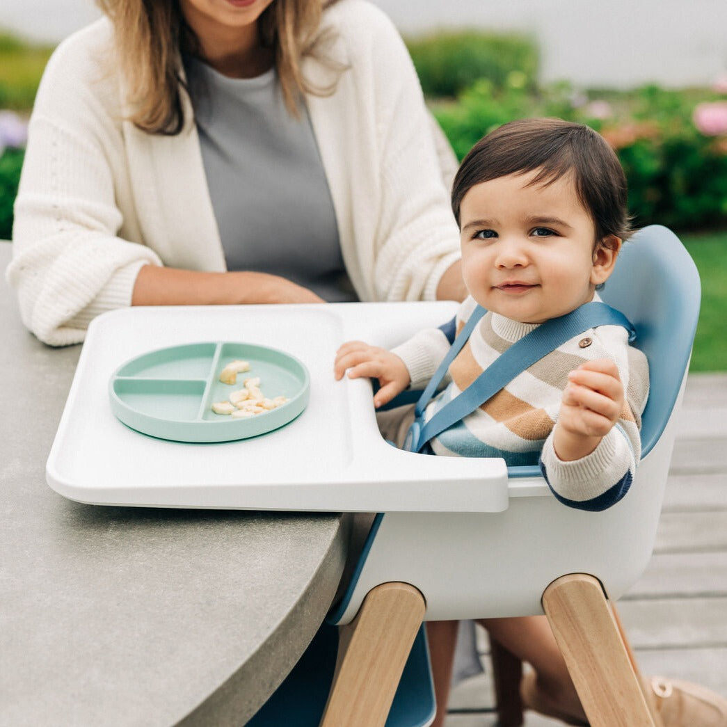 UPPAbaby Ciro Highchair - Caleb (Steel Blue)