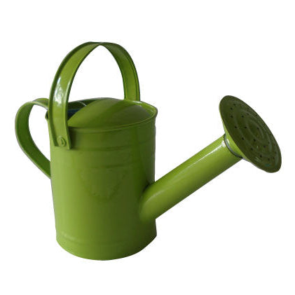 Green watering can on a white background