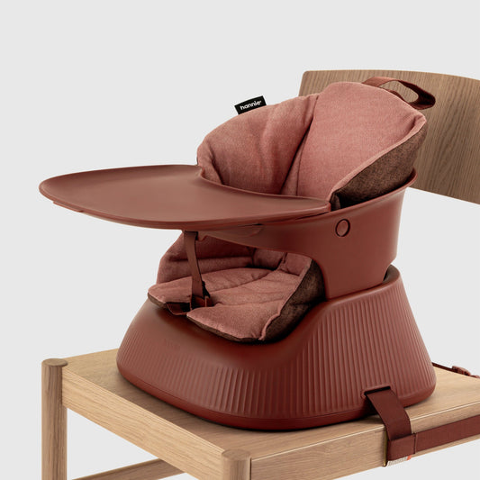 Mahogany Red portable high chair with cushion insert strapped to a wooden chair on a white background. 