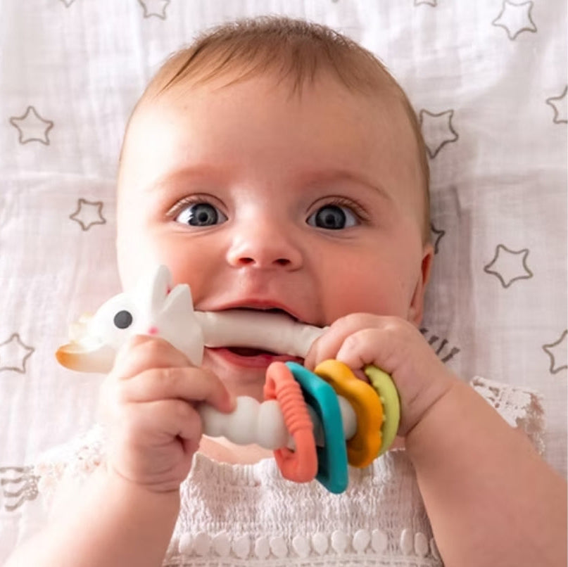 Sophie la Girafe So’ Pure Colo’Rings